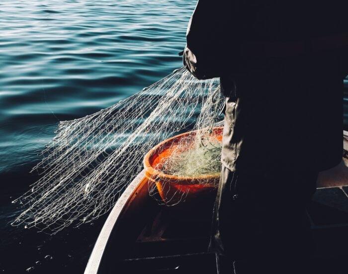 Exportación aérea de salmón desde Magallanes aumenta gracias a la simplificación aduanera