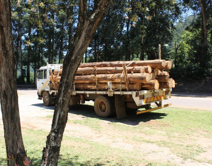 Gremios de camioneros advierten sobre posible aumento del desempleo debido a la Ley para la Naturaleza